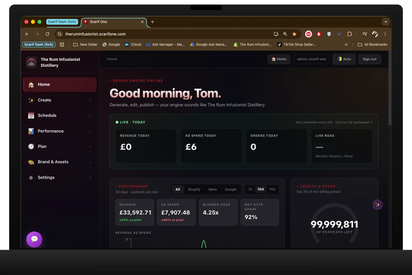 TRI dashboard showing monthly revenue, ROAS and attribution share
